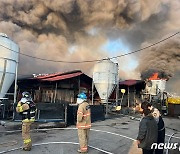 충북 보은 축사에 화재..돼지 500마리 폐사