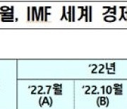 IMF, 한국 내년 성장률 2.1%→2.0%로 하향..물가 전망은 상향