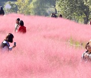 [포토] 완연한 가을