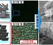 KAIST 등, 2차원 신물질 '맥신' 수직으로 세우는데 성공