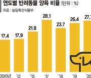 들쭉날쭉 반려동물 진료비.. '펫보험 활성화' 정부가 나선다