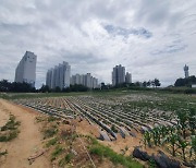 검찰, "개발해주겠다" 뇌물 받은 도시계획위원 구속기소