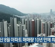 부산 8월 아파트 매매량 10년 만에 최저