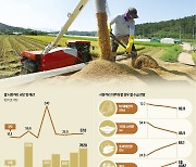 남아도는 쌀 사서 93% 폐기하는데..'혈세 퍼주기' 경쟁하는 정치권 [구민기의 농산물 경제학]