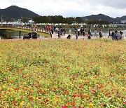 전국 흐리다 차차 맑아져..낮 최고기온 16∼21도[날씨]