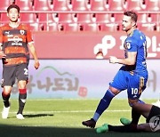 울산, 포항과 동해안 더비서 1-1..우승 확정 연기