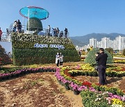 마산국화축제장에 국내 최장 200m 국화터널 만든다