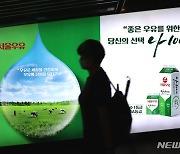 서울우유, 일부 치즈 가격 20% 인상