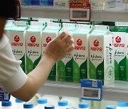 서울우유, 치즈 가격 20% 인상