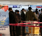 특가 항공권·최저가 보상제.. "日 여행객 잡자" 여행플랫폼 들썩