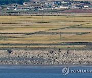 마스크 쓰고 철책 보수작업 하는 북한군