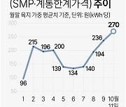 [그래픽] 전력 도매가격(SMP·계통한계가격) 추이