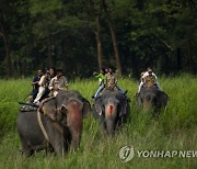 India Wildlife