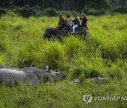 India Wildlife