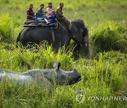 India Wildlife