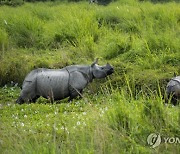 India Wildlife