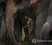 APTOPIX India Wildlife