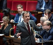 FRANCE GOVERNMENT PARLIAMENT