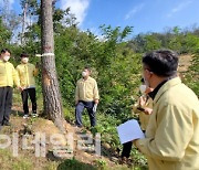 산림청, 소나무재선충병 긴급방제 대응단 구성 운영 돌입