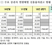 50대 이상, 청년층보다 '주식 빚투'에 휘청