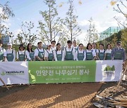 한국허벌라이프, 안양천 나무심기 봉사활동