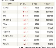 [fnRASSI]장마감, 거래소 상승 종목(흥아해운 29.7% ↑)