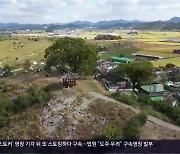 [간추린 경남] 창원 팽나무 '천연기념물 지정' 행사 열려 외