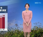 [날씨] 부산 내일 기온 다시 올라 '한낮 24도'..자외선지수 '높음'