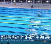 전국체전 강원도 현재 11위..황선우 2년 연속 5관왕 도전