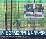 김해시, 천연기념물 '황새' 입식 행사 열어