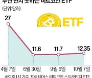 비트코인 ETF '초라한 성적표'..현물보다 손실폭 더 커