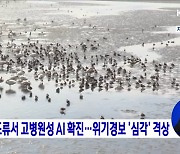 야생 조류서 고병원성 AI 확진..위기경보 '심각' 격상