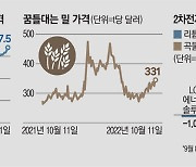 푸틴 폭주하는데..남몰래 표정관리하는 이 주식은