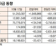 [데이터로 보는 증시] 증시 주변 자금 동향(10월 11일)