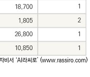 [fnRASSI]오늘의 상한가, 소룩스 30.0% ↑