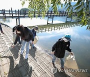 양구군, 한강 유역 정화 활동 펼쳐