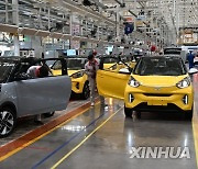 CHINA-ANHUI-WUHU-NEW ENERGY VEHICLES (CN)