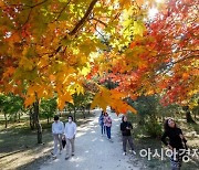 [내일날씨]서울 아침 7도로 '뚝'..경기·강원 북부에는 '서리'