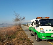 경북도, 조류인플루엔자 '심각' 격상..방사 사육 금지