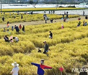 '2022 가야산 황금들녘 메뚜기 축제'