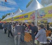 보은 대추 온라인축제 결초보은 농특산물 한마당 인기