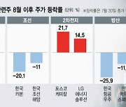 '태이' 뛰고 '조방원' 기고..희비 갈린 주도주