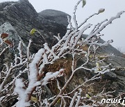 "10월에 이렇게 춥다니" 전북 7개 시·군 한파주의보 발표