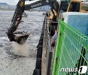 마산만 정어리 202톤 떼죽음 이어 가덕도서 숭어 1000여마리 떼죽음