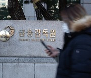 "비상대응 적절했나"..금감원, 카카오 금융계열사 전방위 점검