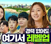 '취업 꿀팁 대방출' 컴투스 그룹, 라이브 채용 설명회 개최