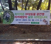 서울시, 산·천변 광견병 예방약 3만여 개 살포