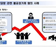 금감원, 부당이득 200억 '불법 리딩방' 다수 적발..수사기관 이첩