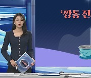 [그래픽뉴스] '깡통 전세' 주의보