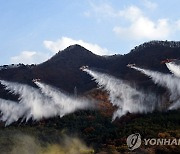 대구서 산불 2건 잇따라 발생..피해 면적 조사 중